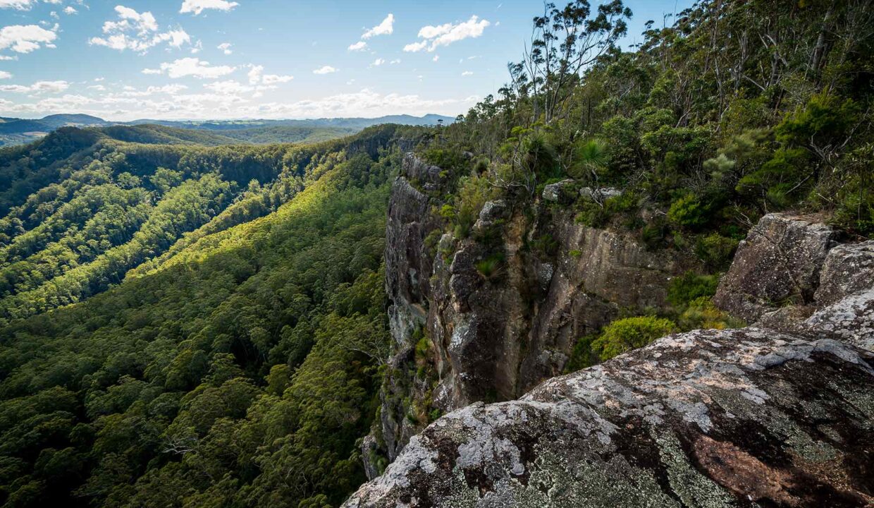 Flat Rock Lookout, Coorabark National Park